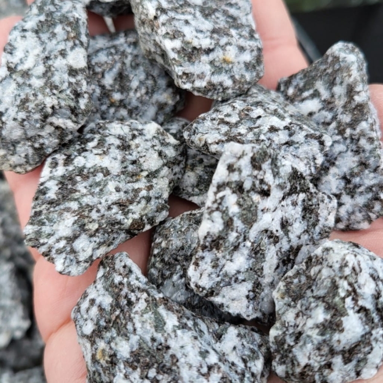 Grys-kamień-do-ogrodu-granit-dalmat-granodioryt-16-22mm (3).jpg