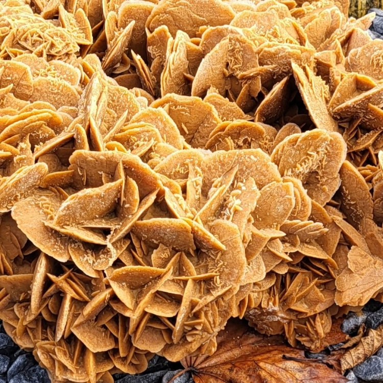 róża-pustyni-skała-do-akwarium (2) (1).jpg