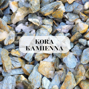 Kora Kamienna