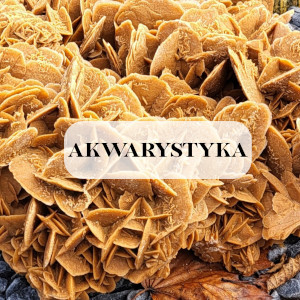 Kamienie do akwarium
